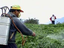 Pesticides 1